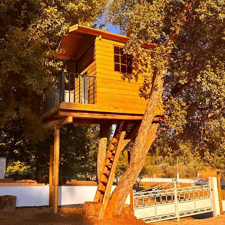 Nature Tourism Quinta Nova فيلة كاستانهيرا دي بيرا