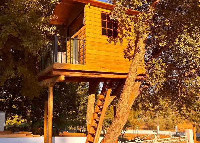 Nature Tourism Quinta Nova Villa Castanheira de Pera